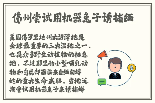 东北普通话国语高清